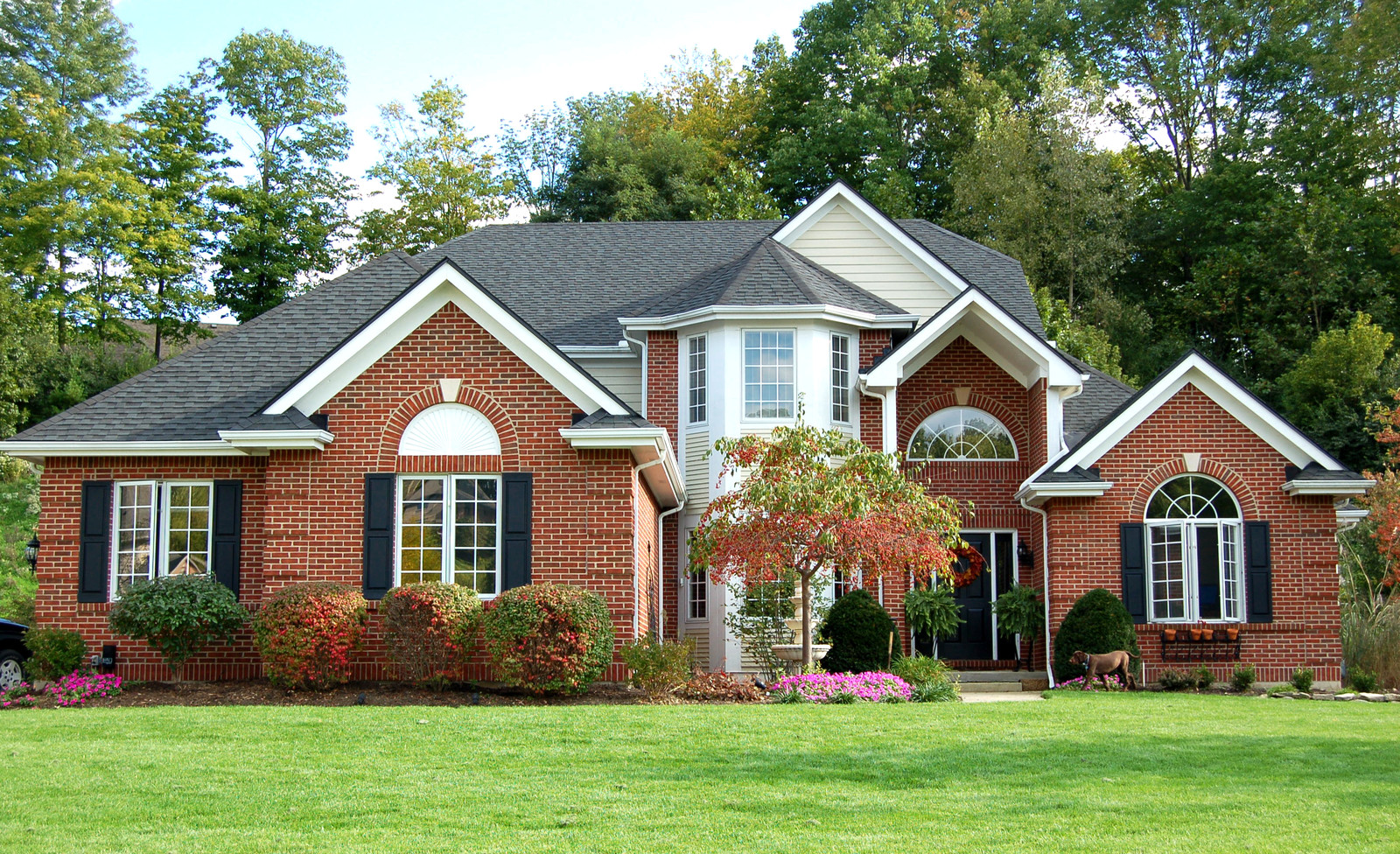 We make moving simple, fast, and stress-free for families and businesses across West Bellvue